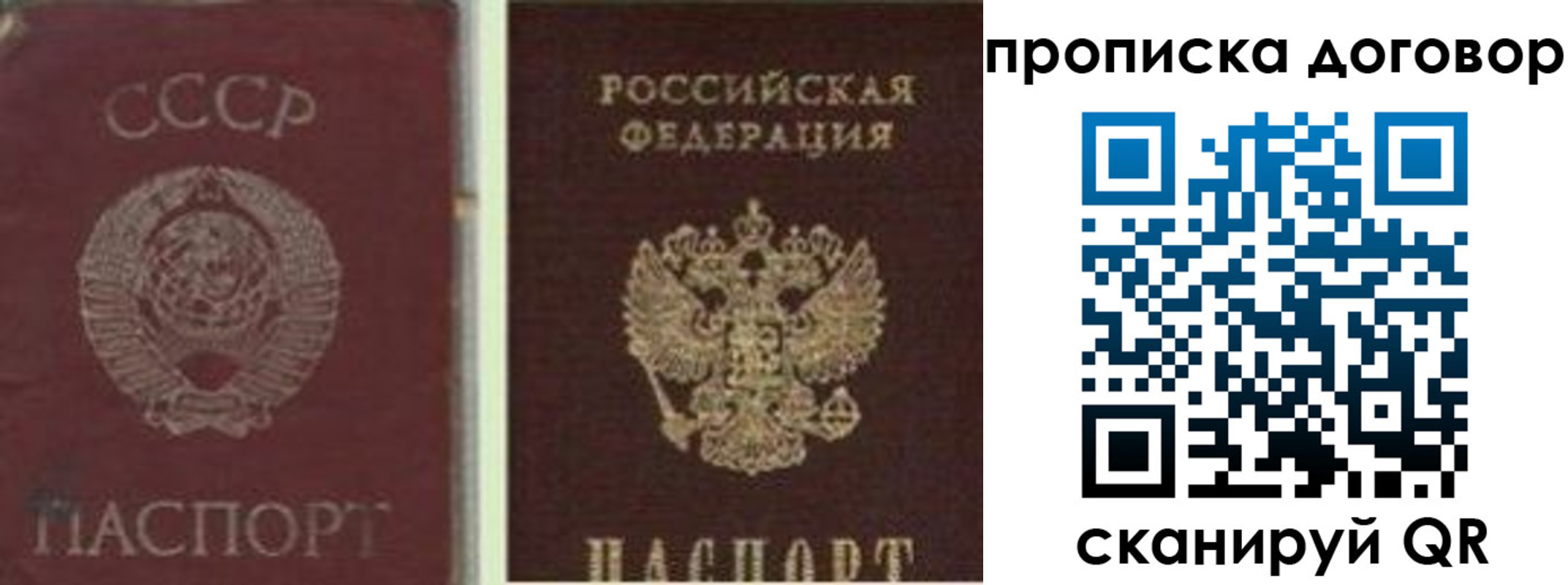 прописка гарантия в Новгородской области